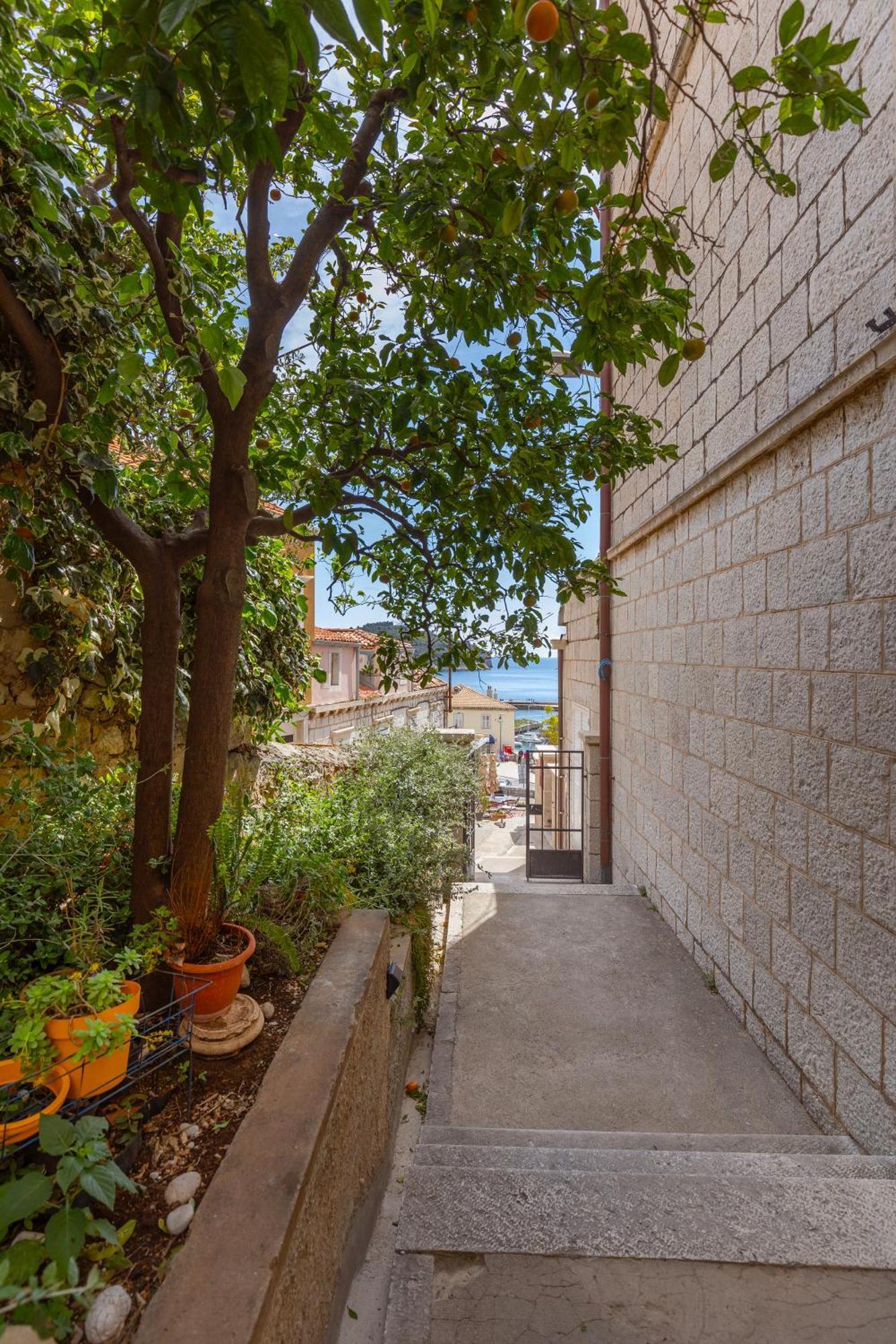 Ragusina Luxury Apartments Ντουμπρόβνικ Εξωτερικό φωτογραφία